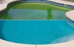 Algicida para piscinas